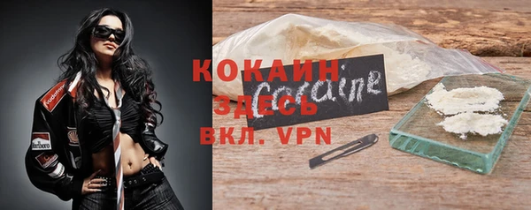 спайс Аркадак