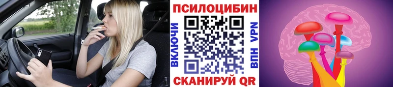 где купить   Калининец  гидра сайт  Псилоцибиновые грибы Cubensis 